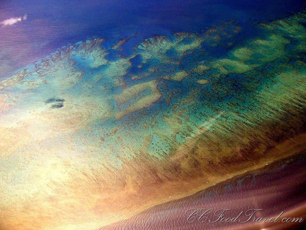 Gran Barrera de Coral