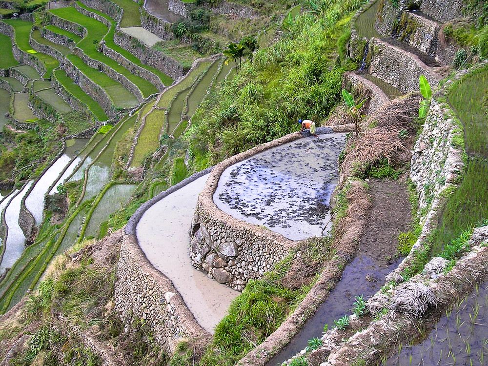 Banaue y Batad