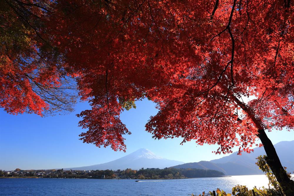 Monte Fuji
