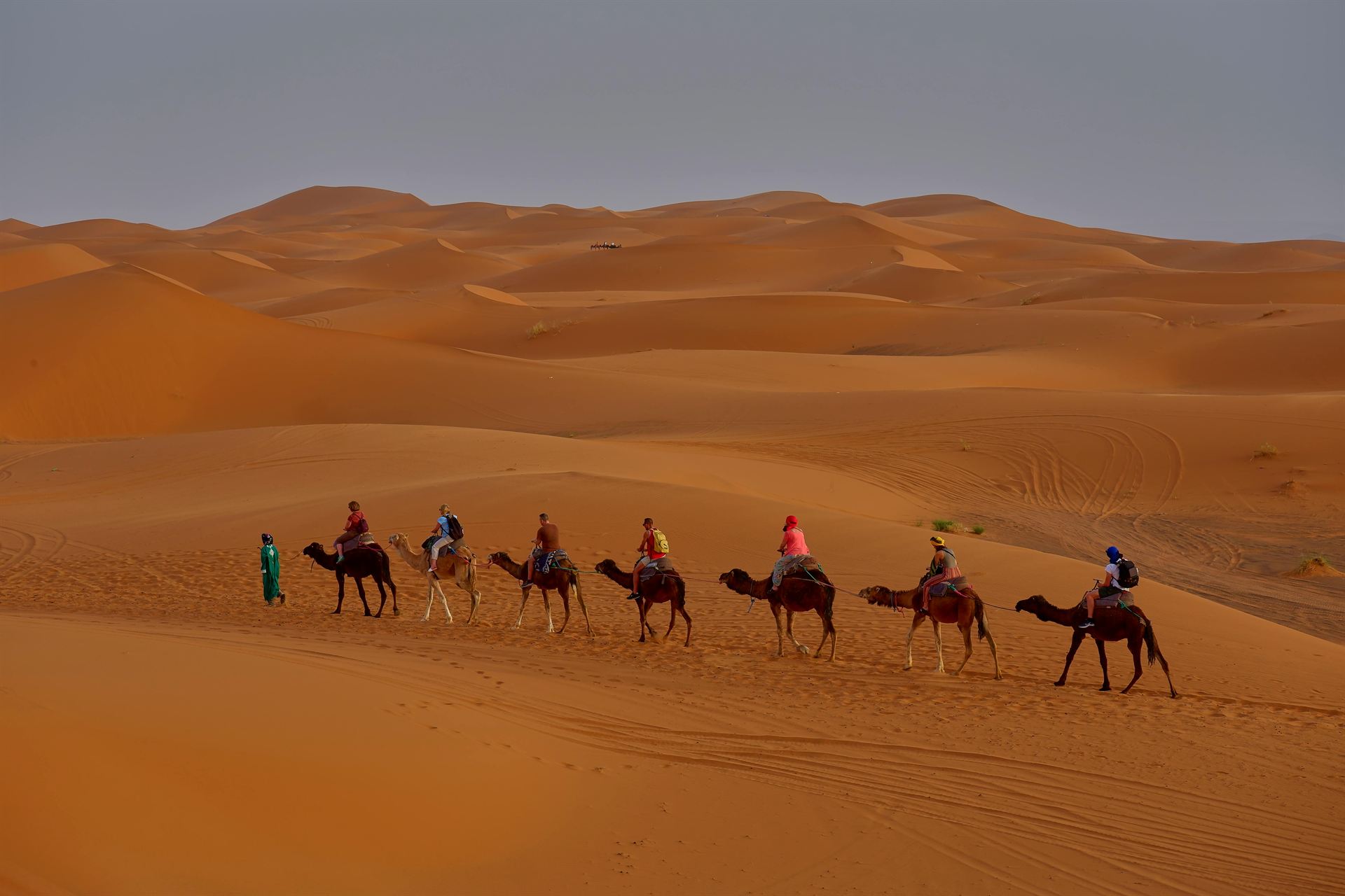 Noche en el desierto del Sahara